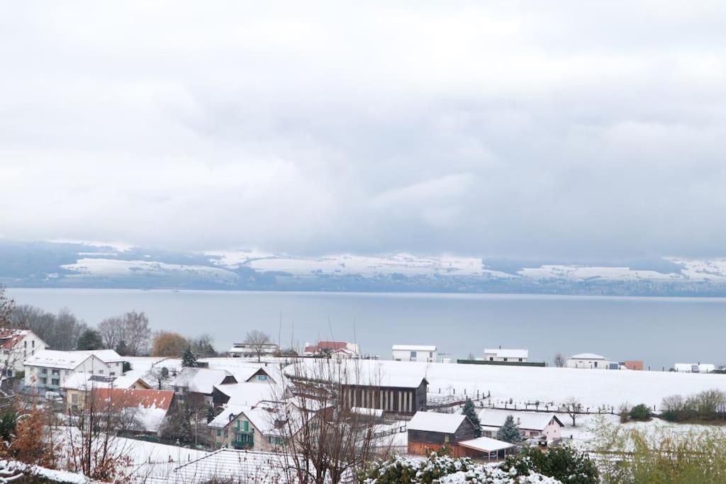 Chalet With Stunning Lake And Mountain Views Avec Une Vue A Couper Le Souffle, Une Spacieuse Terrasse Et Jardin Chatillon  Dış mekan fotoğraf