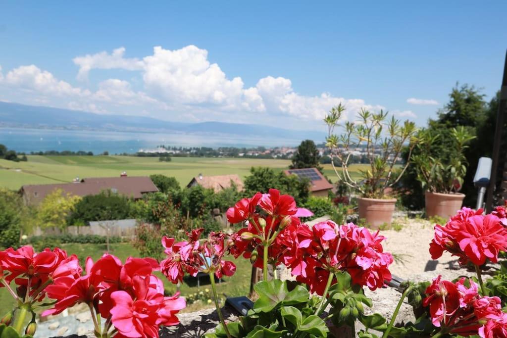 Chalet With Stunning Lake And Mountain Views Avec Une Vue A Couper Le Souffle, Une Spacieuse Terrasse Et Jardin Chatillon  Dış mekan fotoğraf