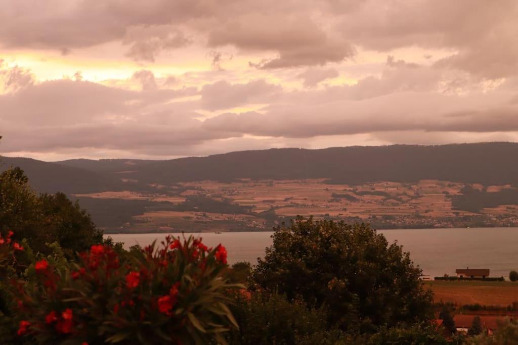 Chalet With Stunning Lake And Mountain Views Avec Une Vue A Couper Le Souffle, Une Spacieuse Terrasse Et Jardin Chatillon  Dış mekan fotoğraf